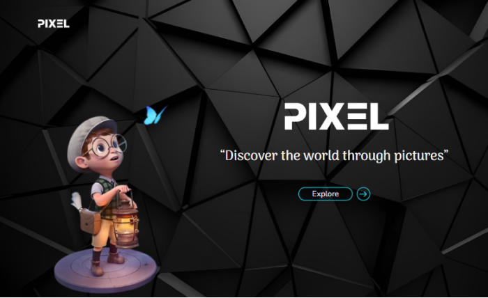PIXEL